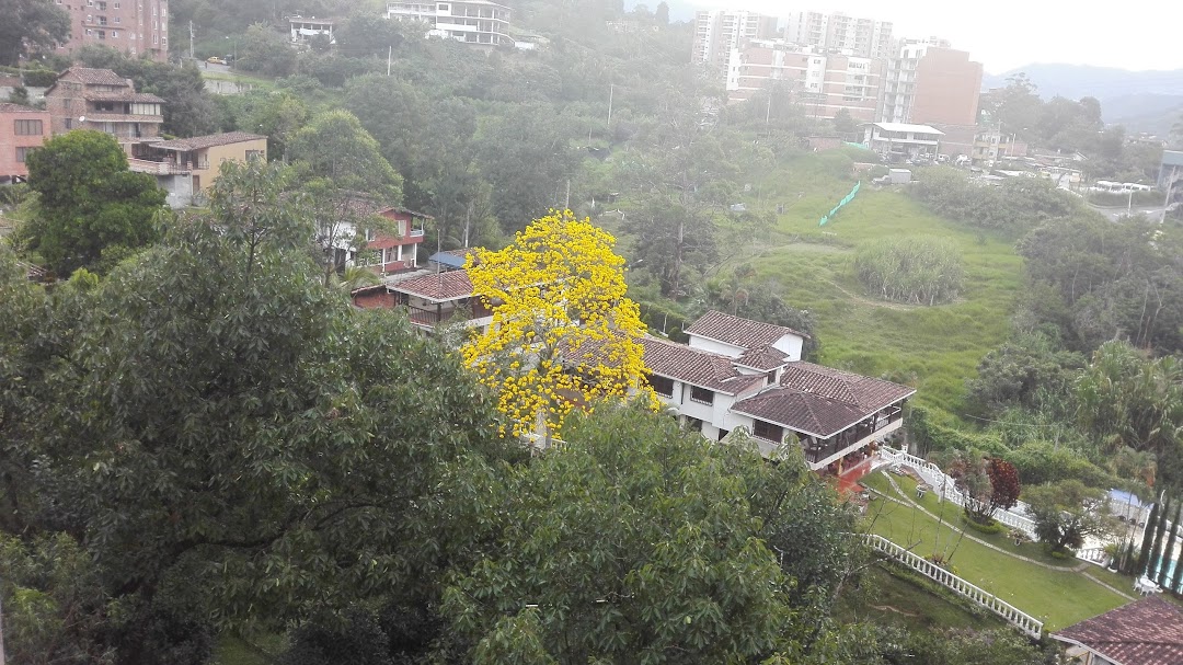 Urbanización Palmeras Bambú