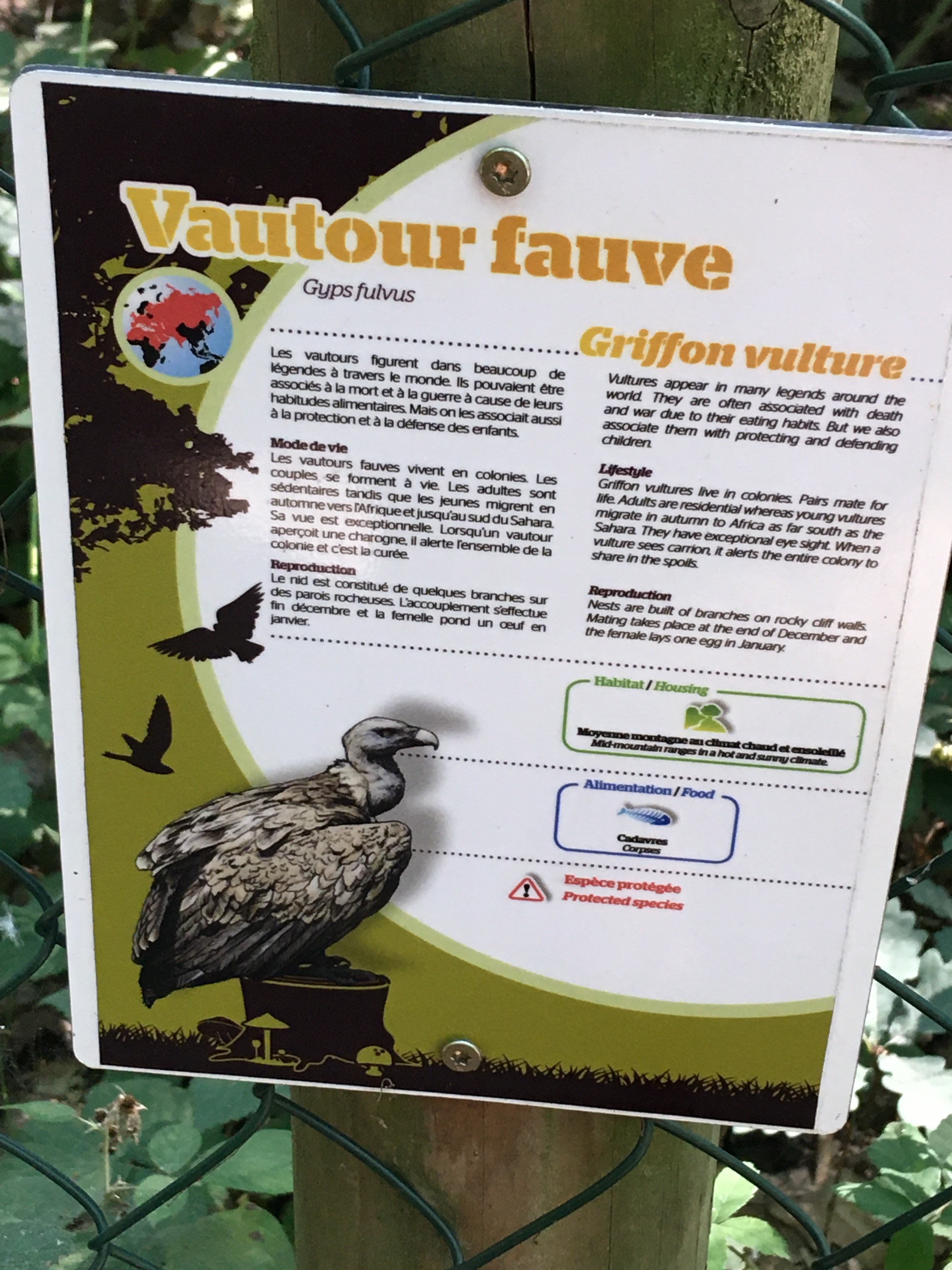 Photo n° 17 de l'avis de Kad.o fait le 12/07/2020 à 13:08