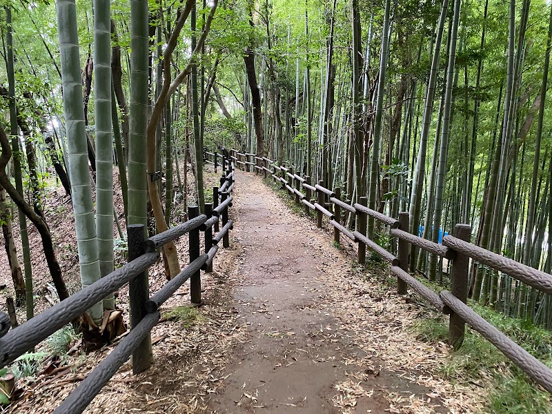 小机城址市民の森