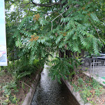 Photo n°27 de l'avis de Stefano.r fait le 14/07/2023 à 10:48 sur le  Ristorante pizzeria Terramare à Paderno Dugnano