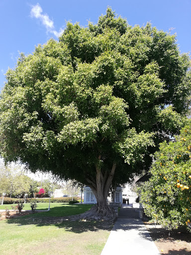 Museum «Heritage Museum of Orange County», reviews and photos, 3101 W Harvard St, Santa Ana, CA 92704, USA