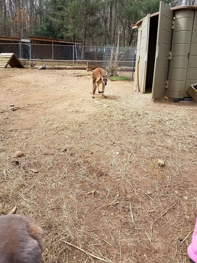 Zoo «North Georgia Zoo & Farm», reviews and photos, 2912 Paradise Valley Rd, Cleveland, GA 30528, USA