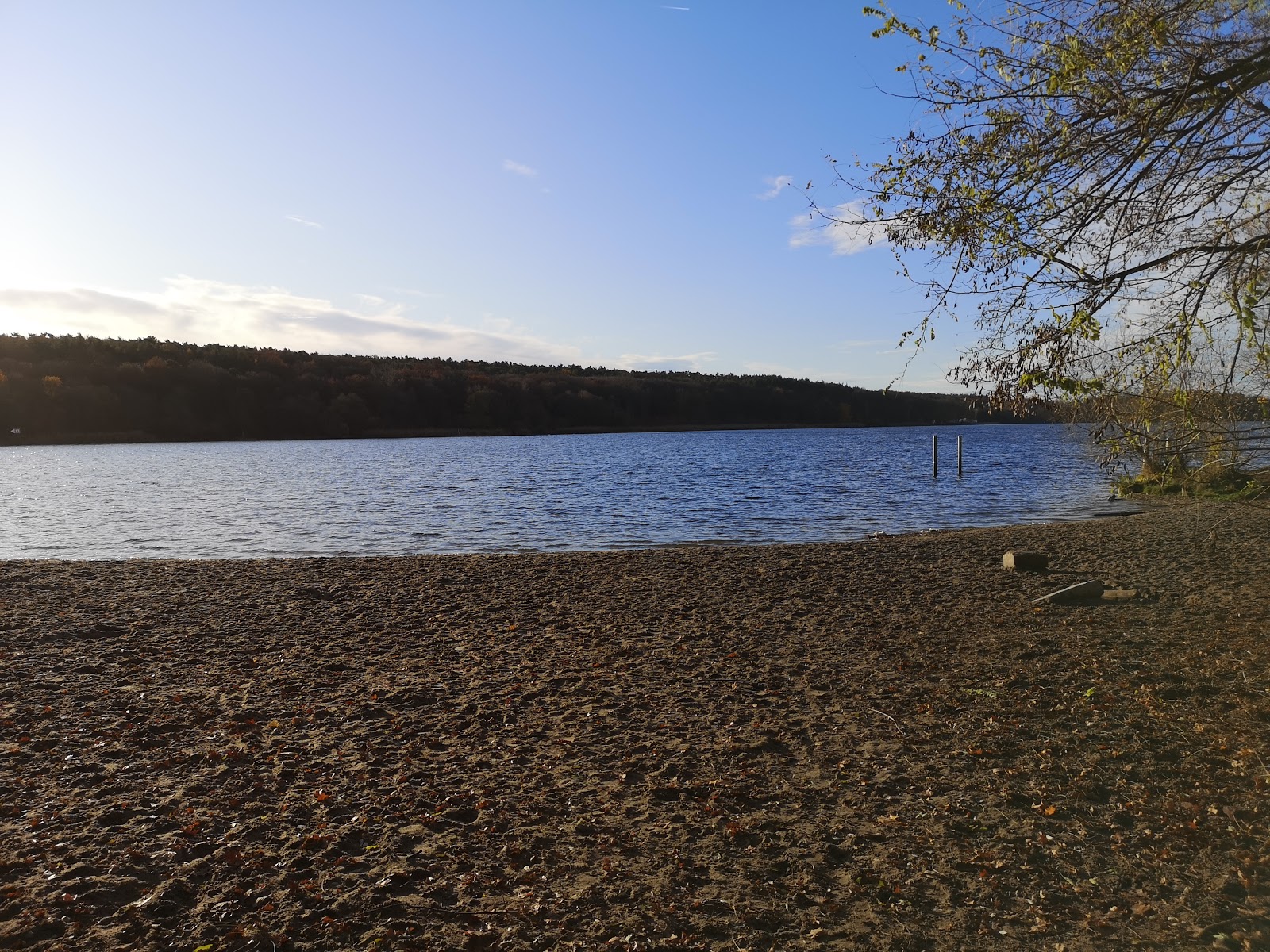 Photo of Stossensee Spandau Beach with very clean level of cleanliness