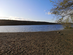 Foto von Stossensee Spandau Beach wilde gegend
