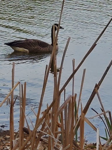 Park «Louise F Cosca Regional Park», reviews and photos, 11000 Thrift Rd, Clinton, MD 20735, USA