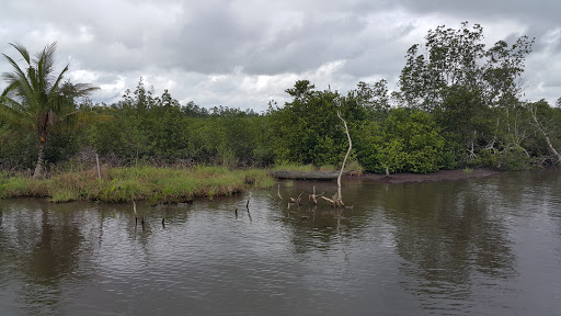 Edumanom National Forest, Nigeria, National Park, state Rivers