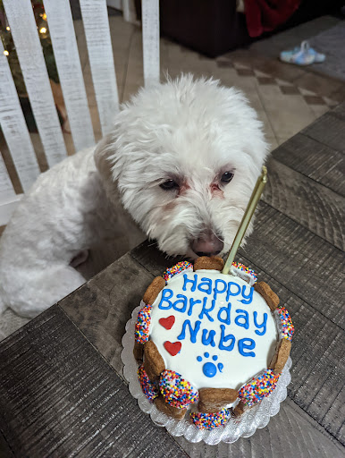 Pet Groomer «Woof Gang Bakery & Grooming Las Vegas», reviews and photos, 7080 N Durango Dr #140, Las Vegas, NV 89149, USA