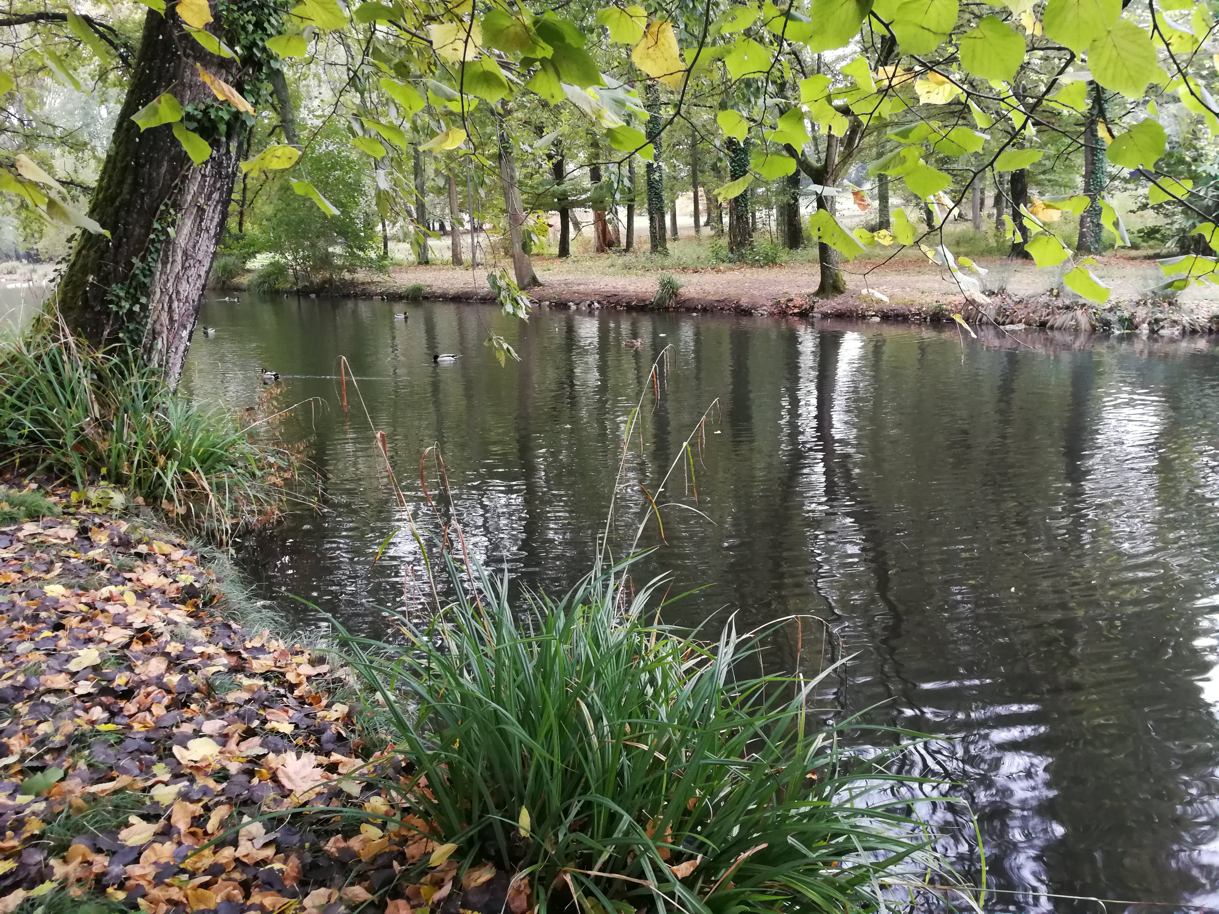 Photo n° 9 de l'avis de Francoise.o fait le 30/08/2018 à 14:33