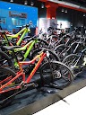 The Cyclery Specialized Brand Store