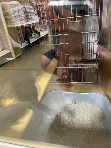 Pet Supply Store «PetSmart», reviews and photos, 1140 W Elliot Rd, Tempe, AZ 85284, USA