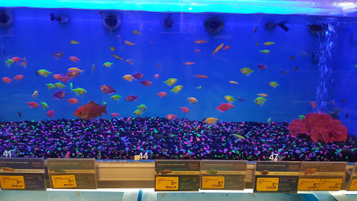Pet Supply Store «PetSmart», reviews and photos, 4101 Oakwood Blvd, Hollywood, FL 33020, USA