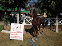 Best Horse Riding In Antalya Near You