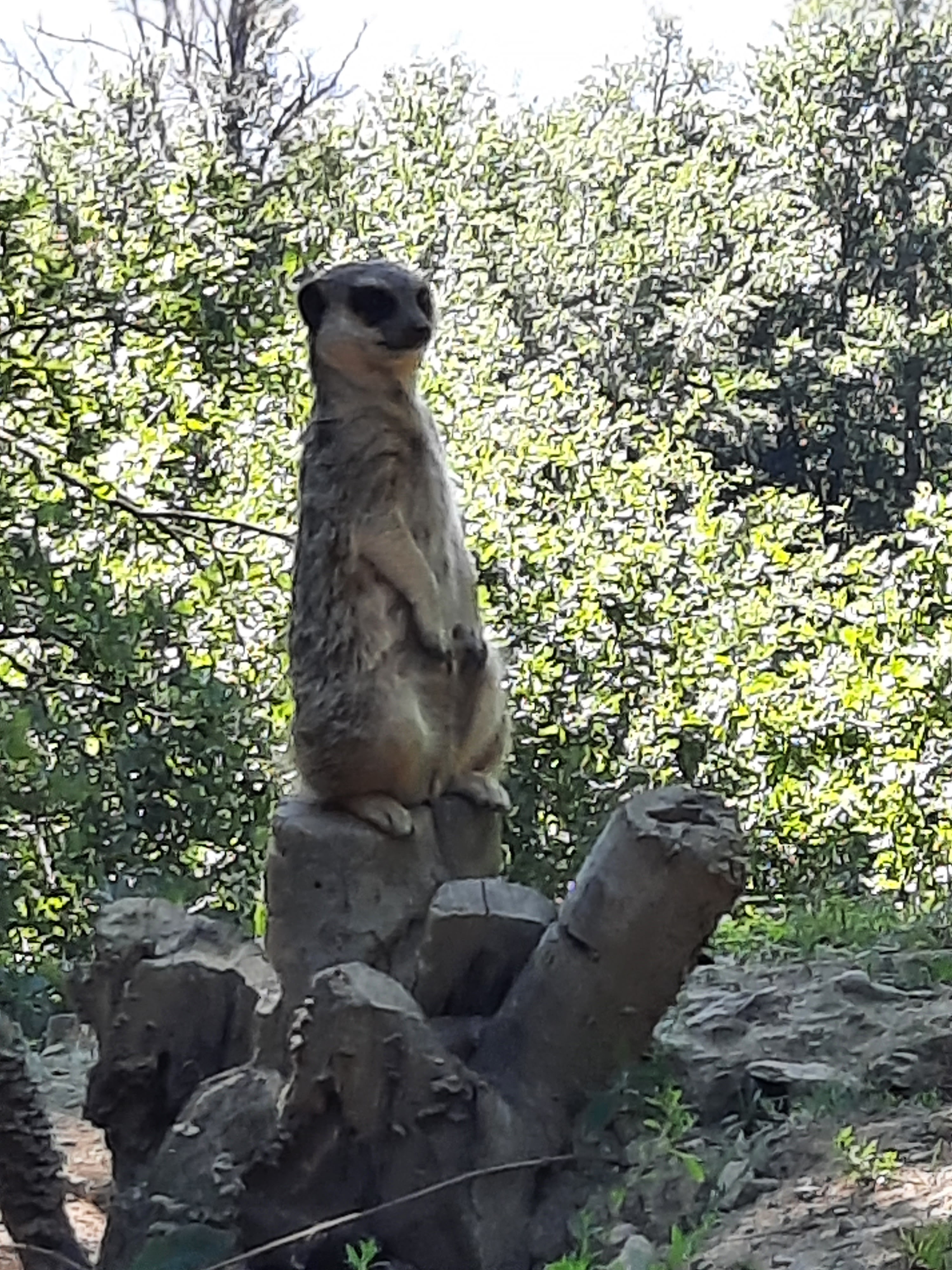 Photo n° 10 de l'avis de Gwen.i fait le 08/08/2023 à 13:19