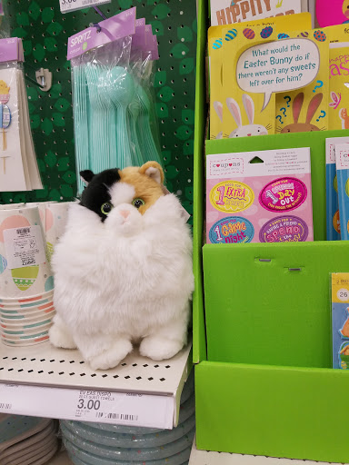 Department Store «Target», reviews and photos, 1980 Santa Rosa Ave, Santa Rosa, CA 95407, USA