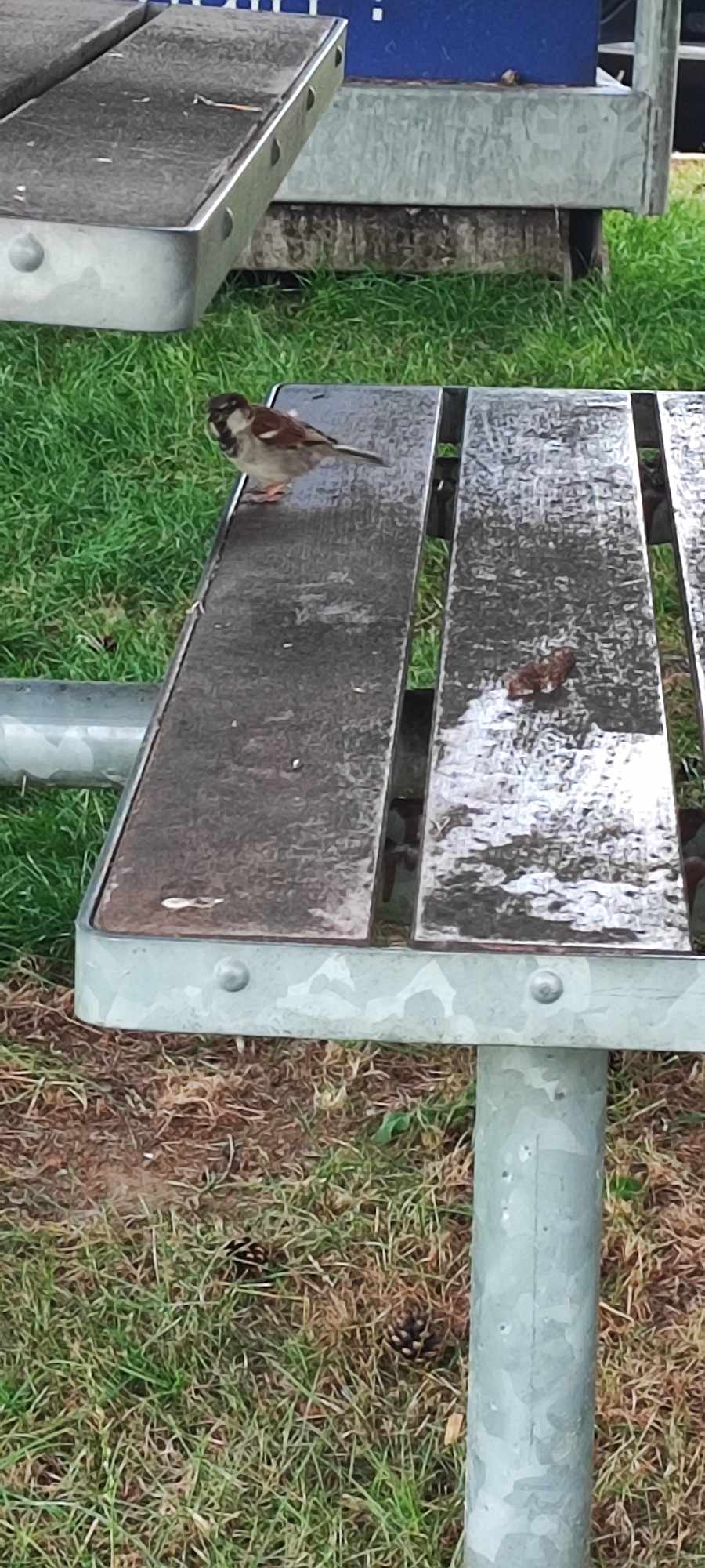Photo n° 2 de l'avis de Philippe.a fait le 20/08/2023 à 14:54