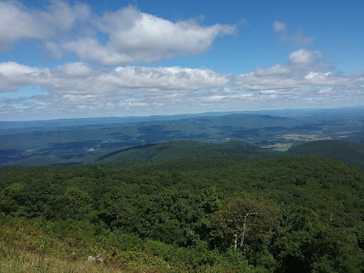 Convenience Store «Royal Farms», reviews and photos, 7900 Royalty Way, Salisbury, MD 21801, USA