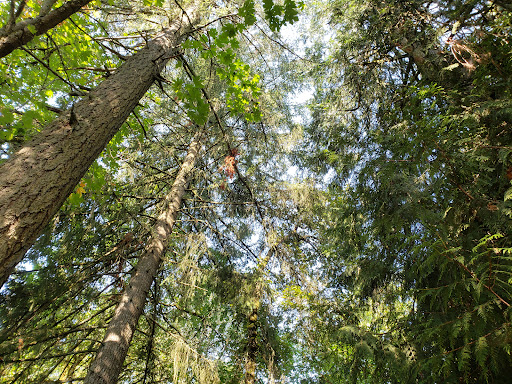 Park «Rood Bridge Park», reviews and photos, 4000 SE Rood Bridge Rd, Hillsboro, OR 97123, USA