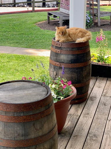 Brewery «MB Roland Distillery», reviews and photos, 137 Barkers Mill Rd, Pembroke, KY 42266, USA