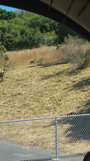 Thrift Store «Thrift Town», reviews and photos, 3645 San Pablo Dam Rd, El Sobrante, CA 94803, USA