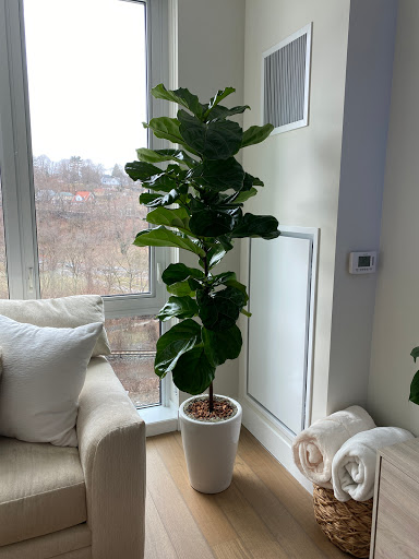 Florist «Station Flowers», reviews and photos, 18 Garth Rd, Scarsdale, NY 10583, USA