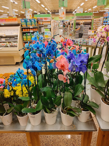 Supermarket «Publix Super Market Plaza Inverness», reviews and photos, 1012 W Main St, Inverness, FL 34450, USA