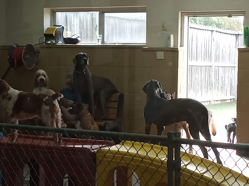 Kutter Pet Care Center