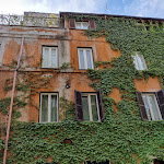 Photo n°1 de l'avis de Sudhesh.a fait le 20/04/2022 à 15:18 sur le  Il Mozzicone à Rome