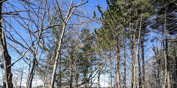 Mackworth Island State Park