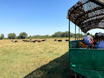 Photos du propriétaire du Restaurant Manade Fernay - Mas des Jasses de la Ville - Arles Camargue - n°3