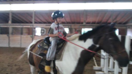 Horse Riding School «Horseng Farm LLC», reviews and photos, 6475 Warden Rd, New Tripoli, PA 18066, USA