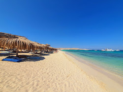 Mahmya Island Beach'in fotoğrafı çok temiz temizlik seviyesi ile