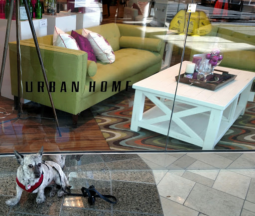 Furniture Store «Urban Home», reviews and photos, 400 S Baldwin Ave, Arcadia, CA 91007, USA