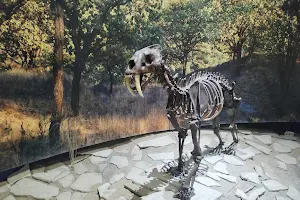 Museum of Paleontology Guadalajara image