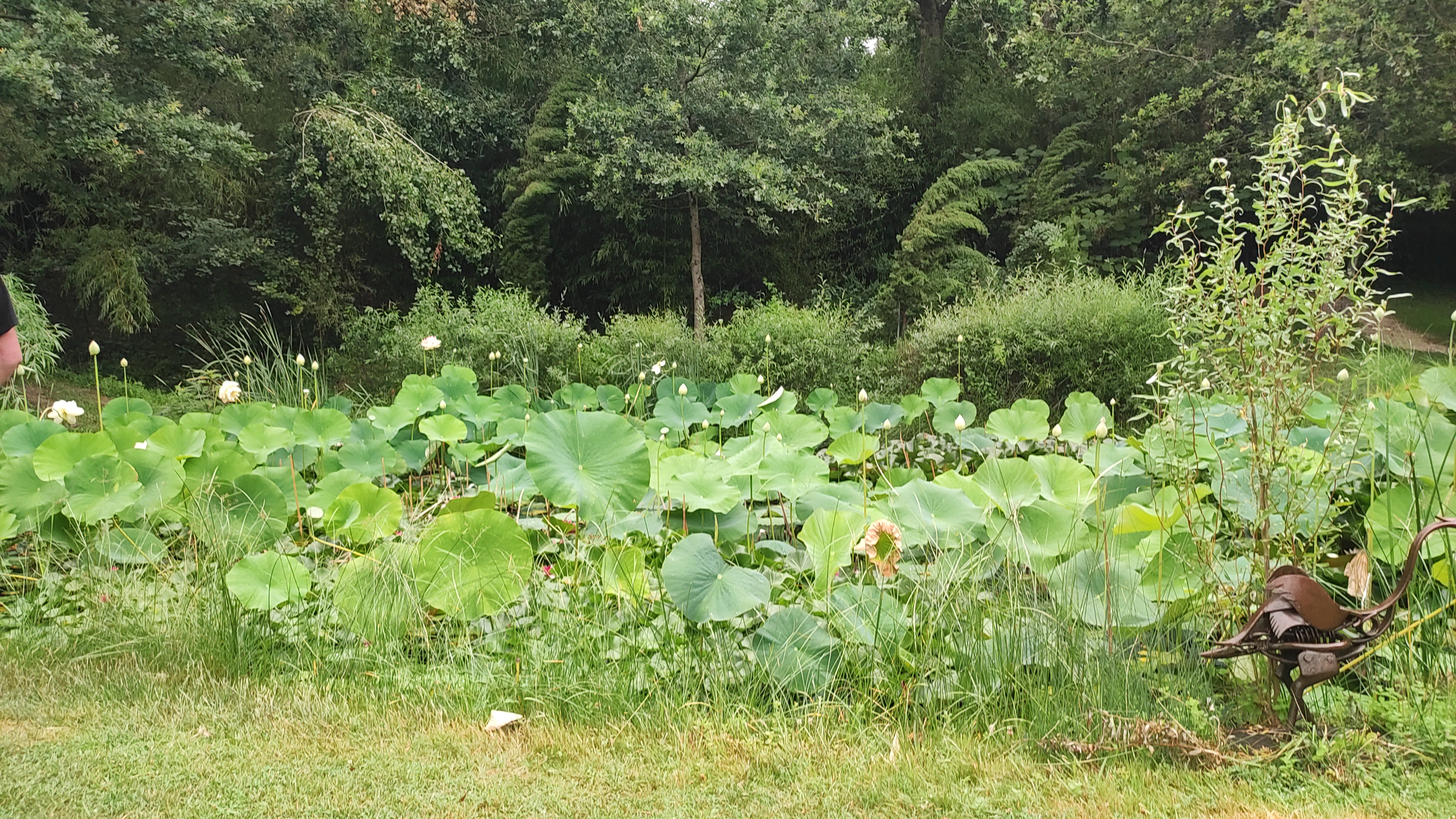 Photo n° 2 de l'avis de mylene.u fait le 15/07/2023 à 17:04