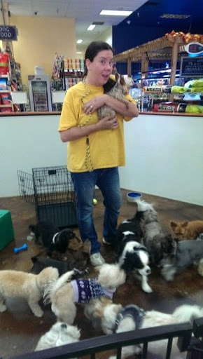 Pet Supply Store «Odyssey Pets», reviews and photos, 14999 Preston Rd #400a, Dallas, TX 75254, USA