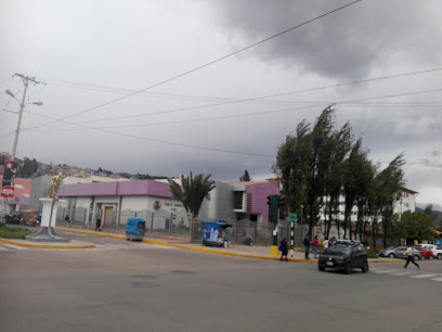 Colegio Médico del Perú Consejo Regional VI - Cusco