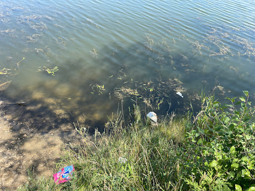 Nature Preserve «Bode Lake», reviews and photos, Bode Rd, Streamwood, IL 60107, USA