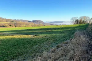 Großer Schönberg Nature Reserve image