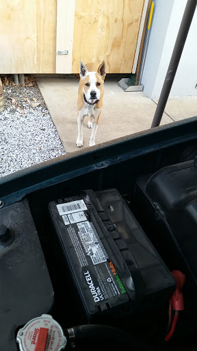 Car Battery Store «Batteries Plus Bulbs», reviews and photos, 4898 S Virginia St, Reno, NV 89502, USA