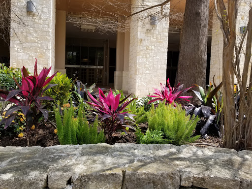 Park «Hemisfair Park», reviews and photos, 434 S Alamo St, San Antonio, TX 78205, USA