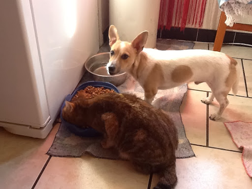 Photo 4 - RENAULT Le Teil Automobiles Agent