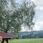 Photo n°2 de l'avis de Hendrik.e fait le 20/06/2020 à 16:54 sur le  Gasthaus Talsperre à Eibenstock