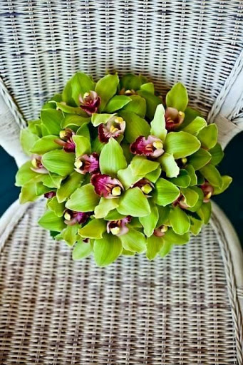 Florist «Primavera Florist Pedro», reviews and photos, 5510 W Flagler St, Coral Gables, FL 33134, USA