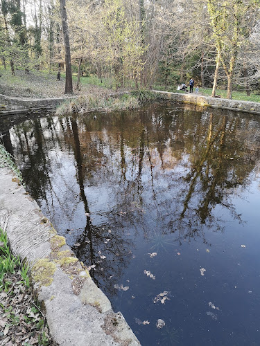 Egyetemi Élő Növénygyűjtemény - Orvos