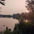 Westchester Lagoon Nature Trail