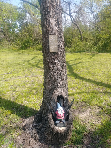 Coombs Creek Trail