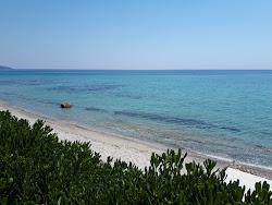 Photo de Mola Kaliva II avec rivage droit, long