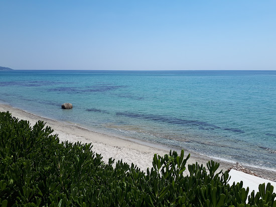 Mola Kaliva II