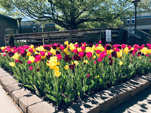 Community College «Asheville-Buncombe Technical Community College», reviews and photos