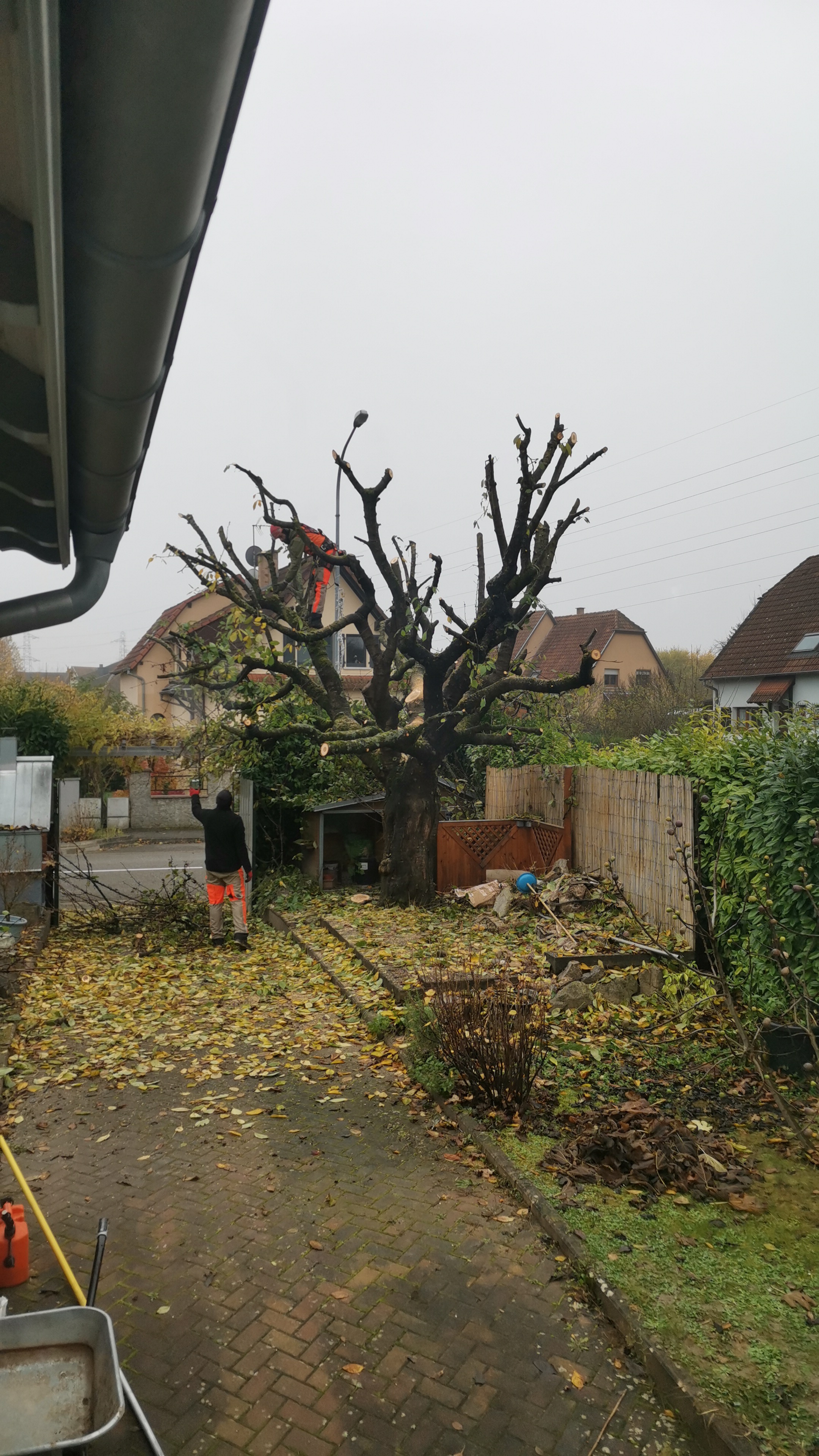 Photo n° 2 de l'avis de Clémence.e fait le 12/11/2021 à 15:11